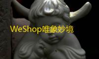 WeShop唯象妙境