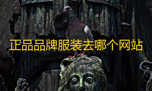小叮当直装v3.0下载安装正品品牌服装去哪个网站购买（靠谱服装购物平台）